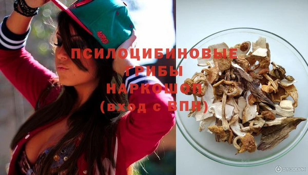 прущий лед Шадринск