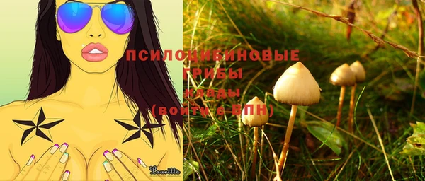 ALPHA-PVP Заводоуковск