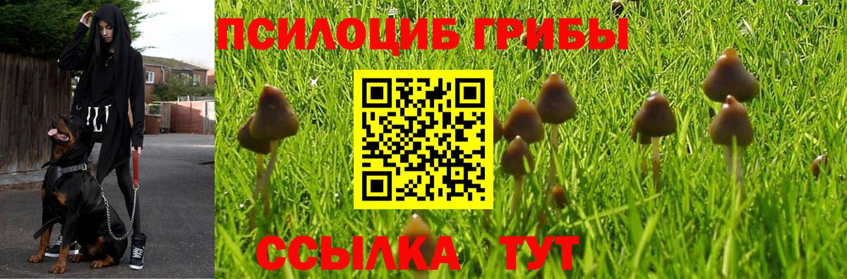 Галлюциногенные грибы прущие грибы Качканар